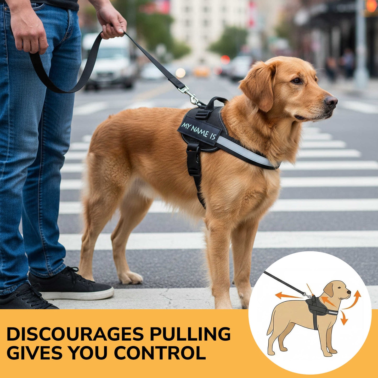 2-in-1 Pet Seat Belt & Leash