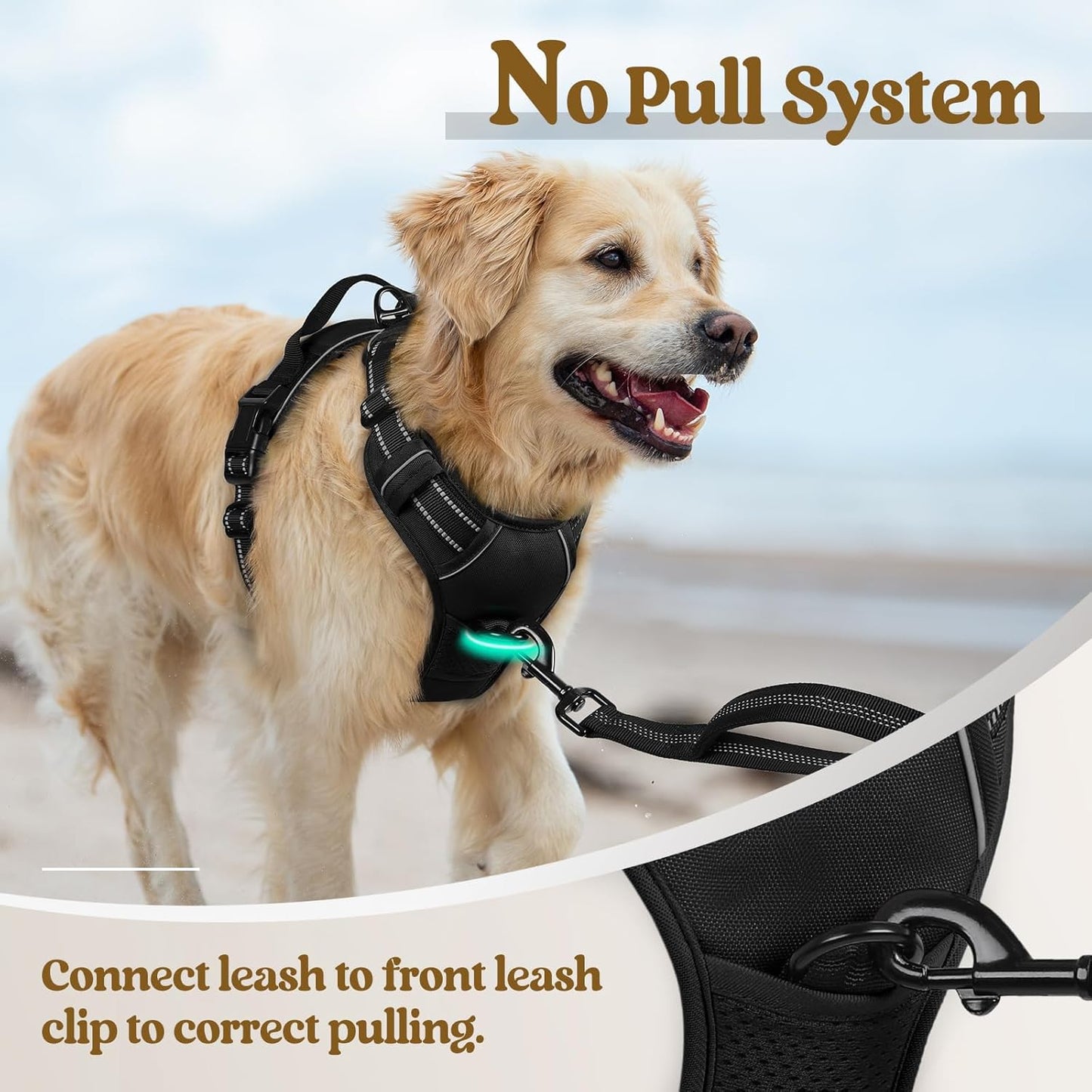 Adjustable Dog Harness with 3M Reflective