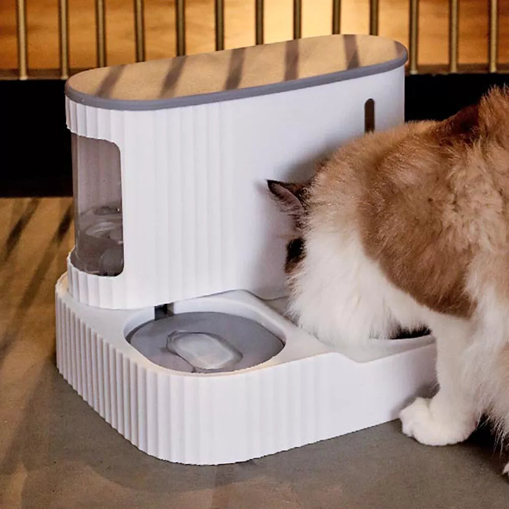 Automatic Food Feeder