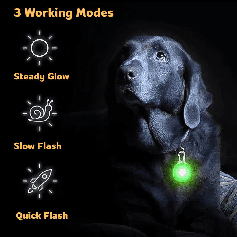 HiFi Pets™ LED Dog Collar Light Pendant