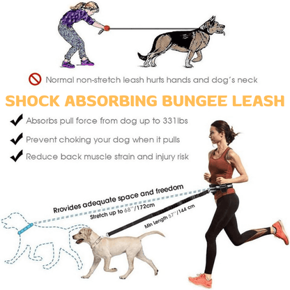 HiFi Pets™ Hands-Free Dog Leash Set