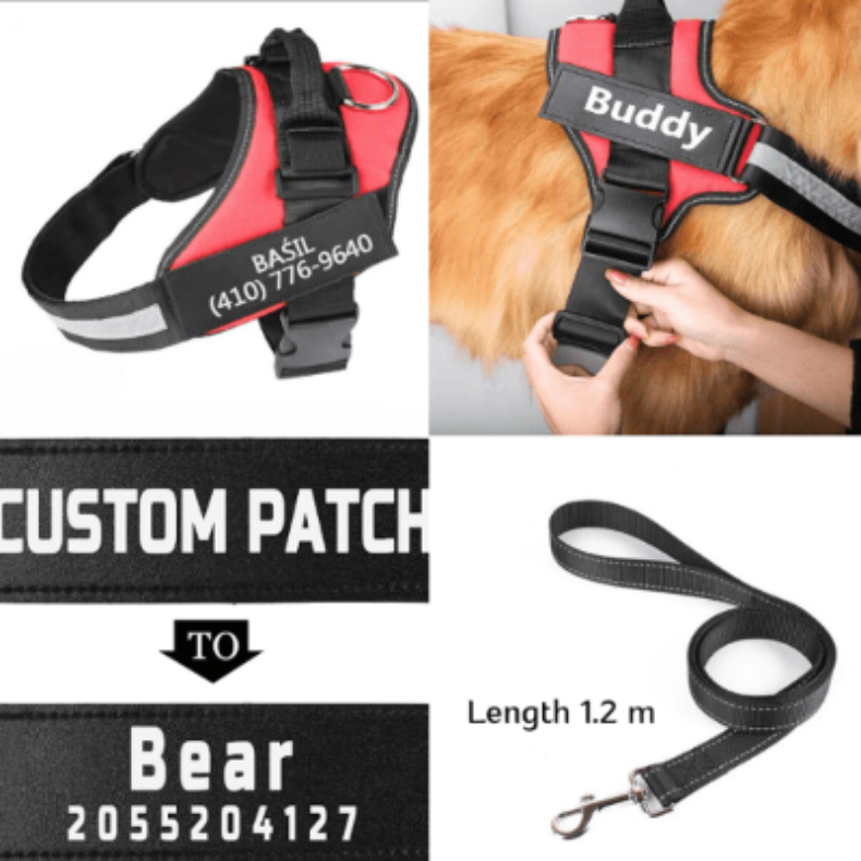 Red dog harness with customizable text, a leash, and a patch on a white background.