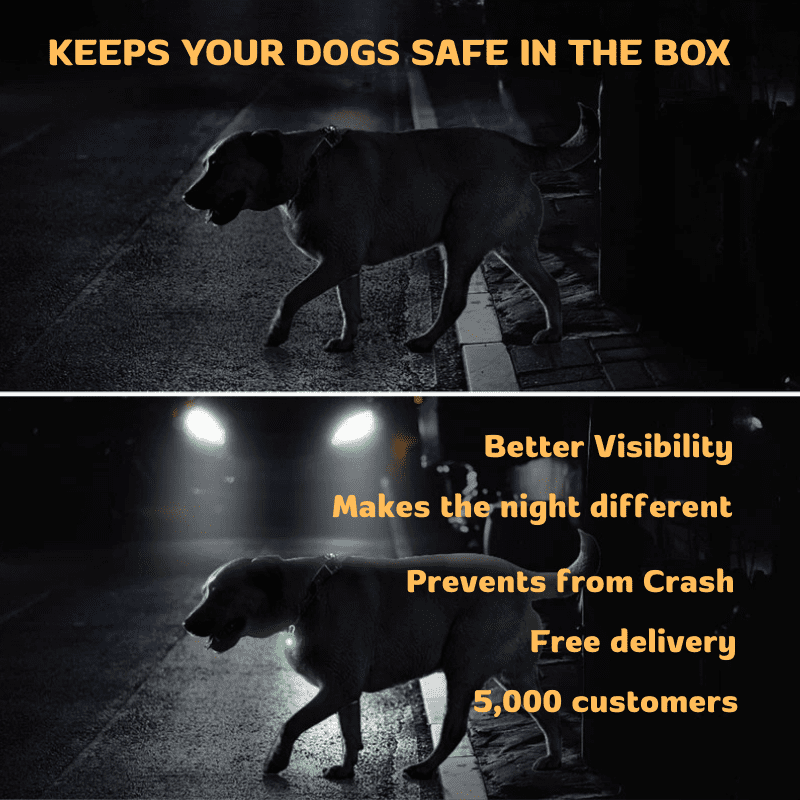 HiFi Pets™ LED Dog Collar Light Pendant