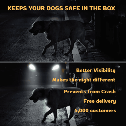 HiFi Pets™ LED Dog Collar Light Pendant