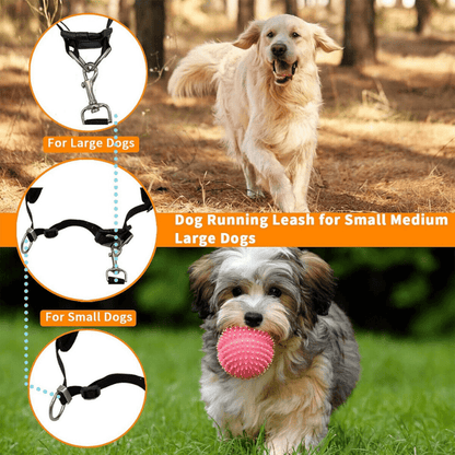 HiFi Pets™ Hands-Free Dog Leash Set