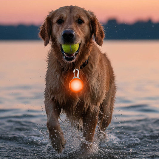 HiFi Pets™ LED Dog Collar Light Pendant
