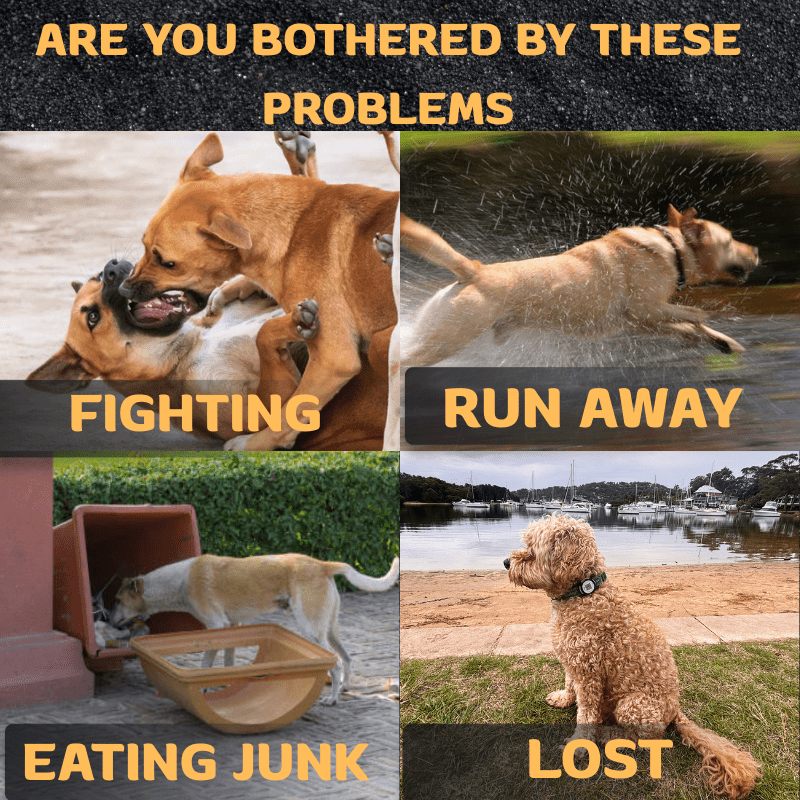 HiFi Pets™ Hands-Free Dog Leash Set