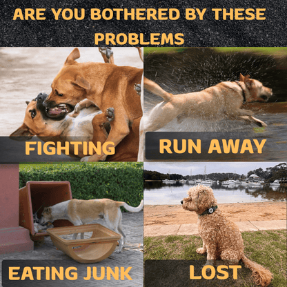 HiFi Pets™ Hands-Free Dog Leash Set