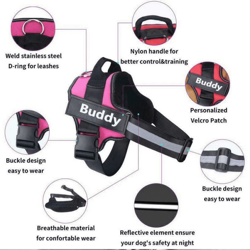 Dog harness with features highlighted on a white background