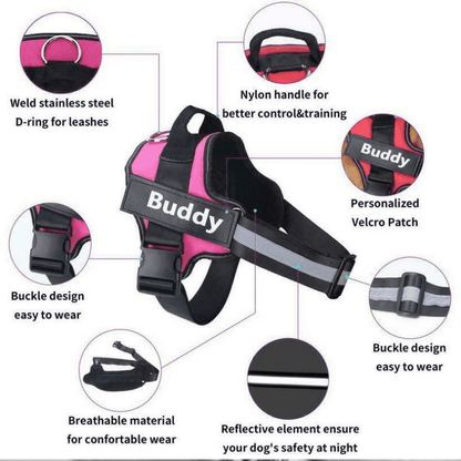 Dog harness with features highlighted on a white background