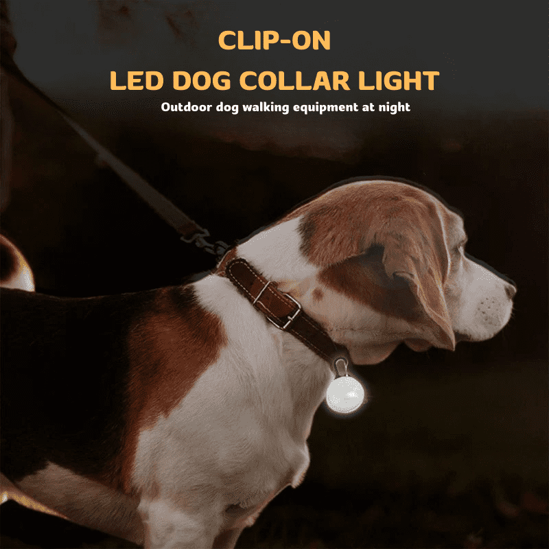 HiFi Pets™ LED Dog Collar Light Pendant