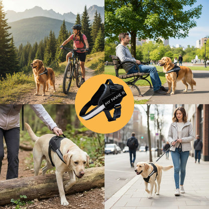 HiFi Pets™ Hero Bundle Kit