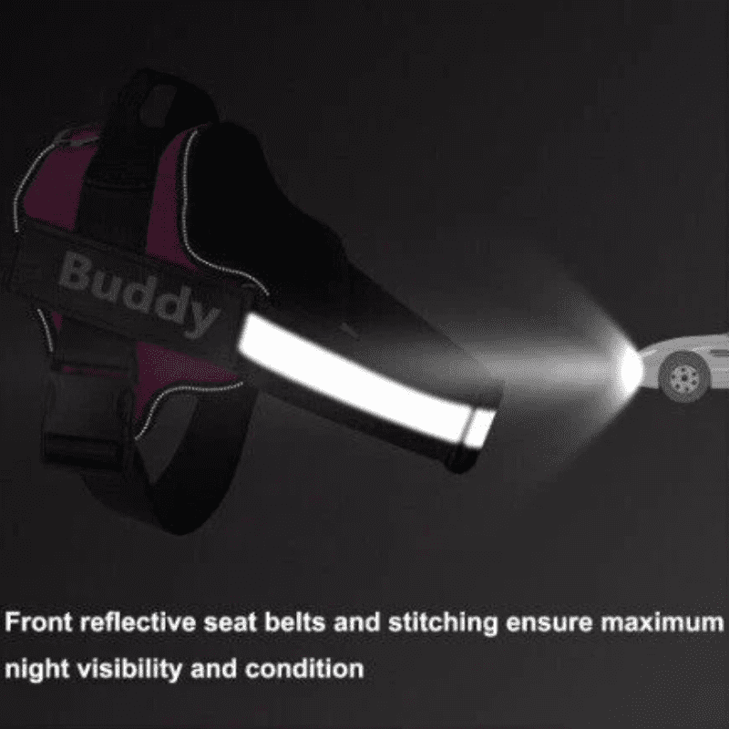 HiFi Pets™  Hero Bundle Kit