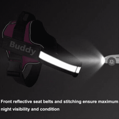 HiFi Pets™  Hero Bundle Kit