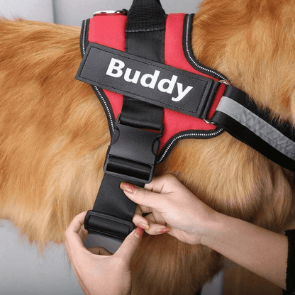 HiFi Pets™  Hero Bundle Kit