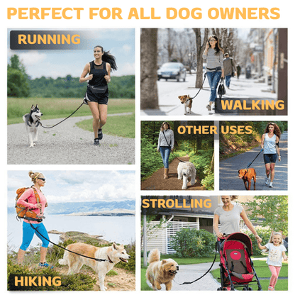 HiFi Pets™ Hands-Free Dog Leash Set