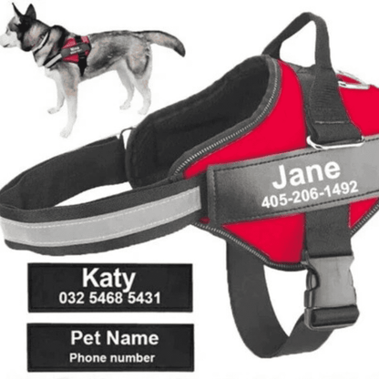 HiFi Pets™  Hero Bundle Kit