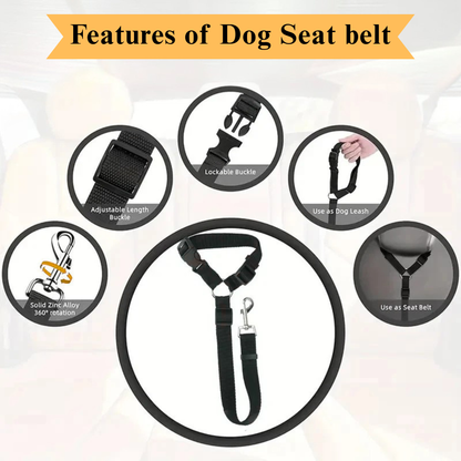 2-in-1 Pet Seat Belt & Leash