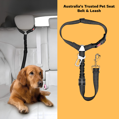 2-in-1 Pet Seat Belt & Leash