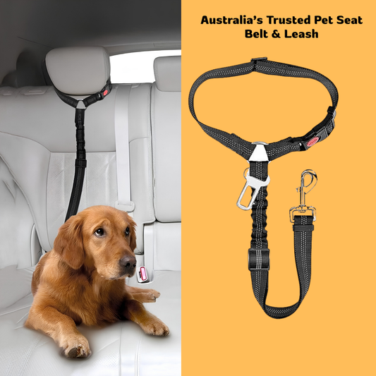 2-in-1 Pet Seat Belt & Leash