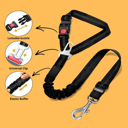 2-in-1 Pet Seat Belt & Leash