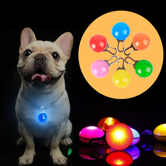 HiFi Pets™ LED Dog Collar Light Pendant