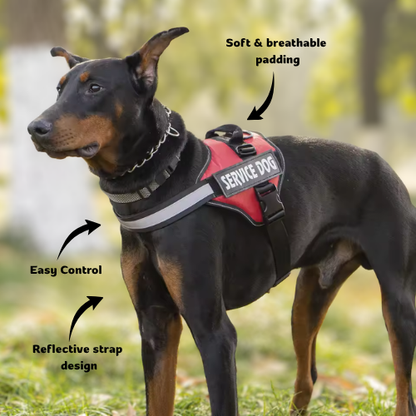 HiFi Pets™ Premium Dog Harness