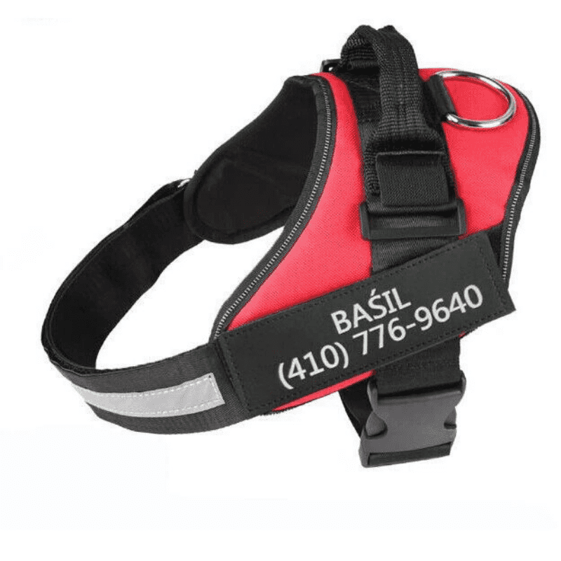 HiFi Pets™  Hero Bundle Kit