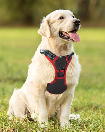 Adjustable Dog Harness with 3M Reflective