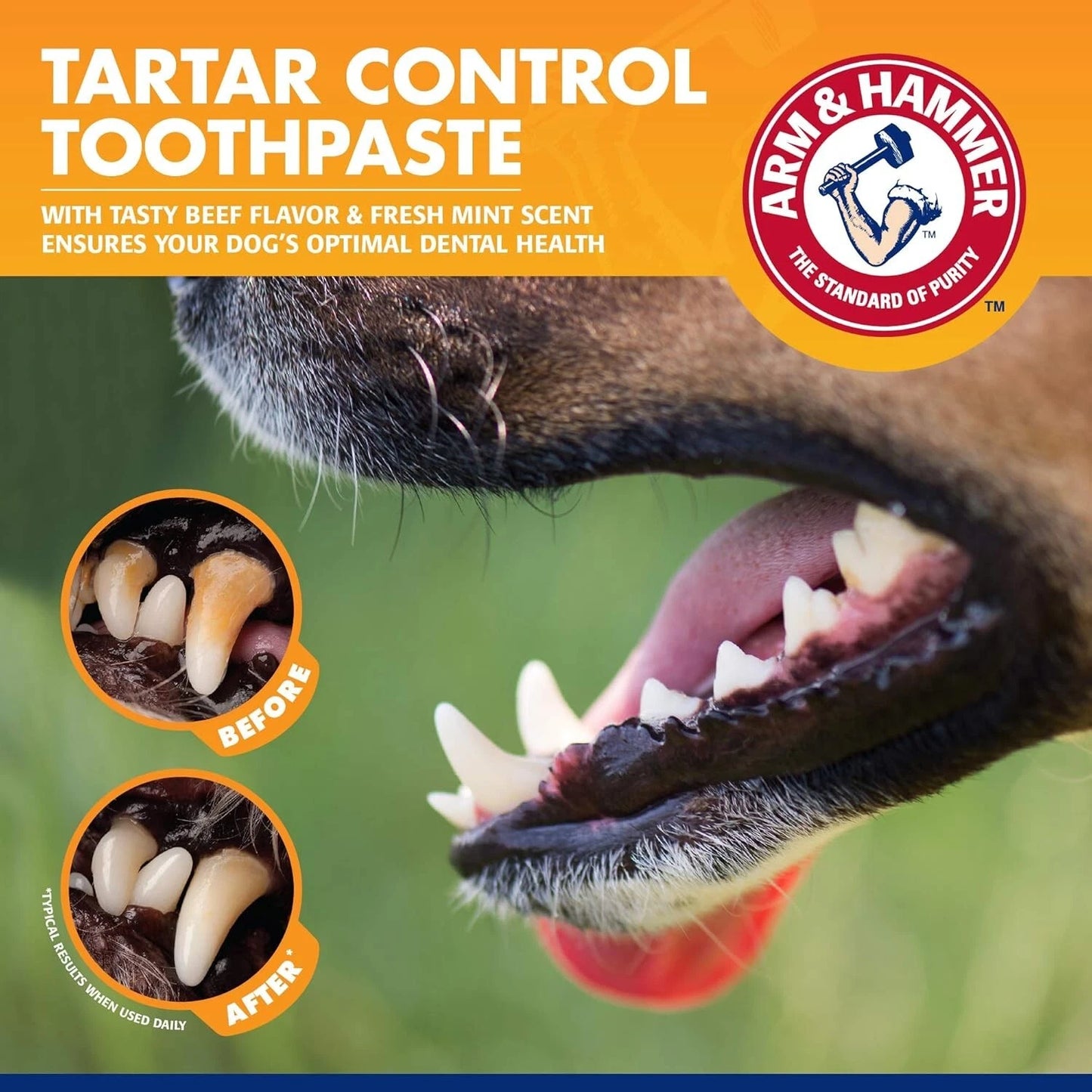 Arm And Hammer Dental Toothpaste For Dogs